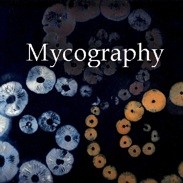 Mycography