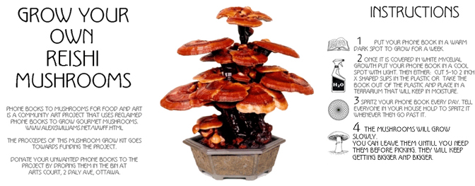 reishi